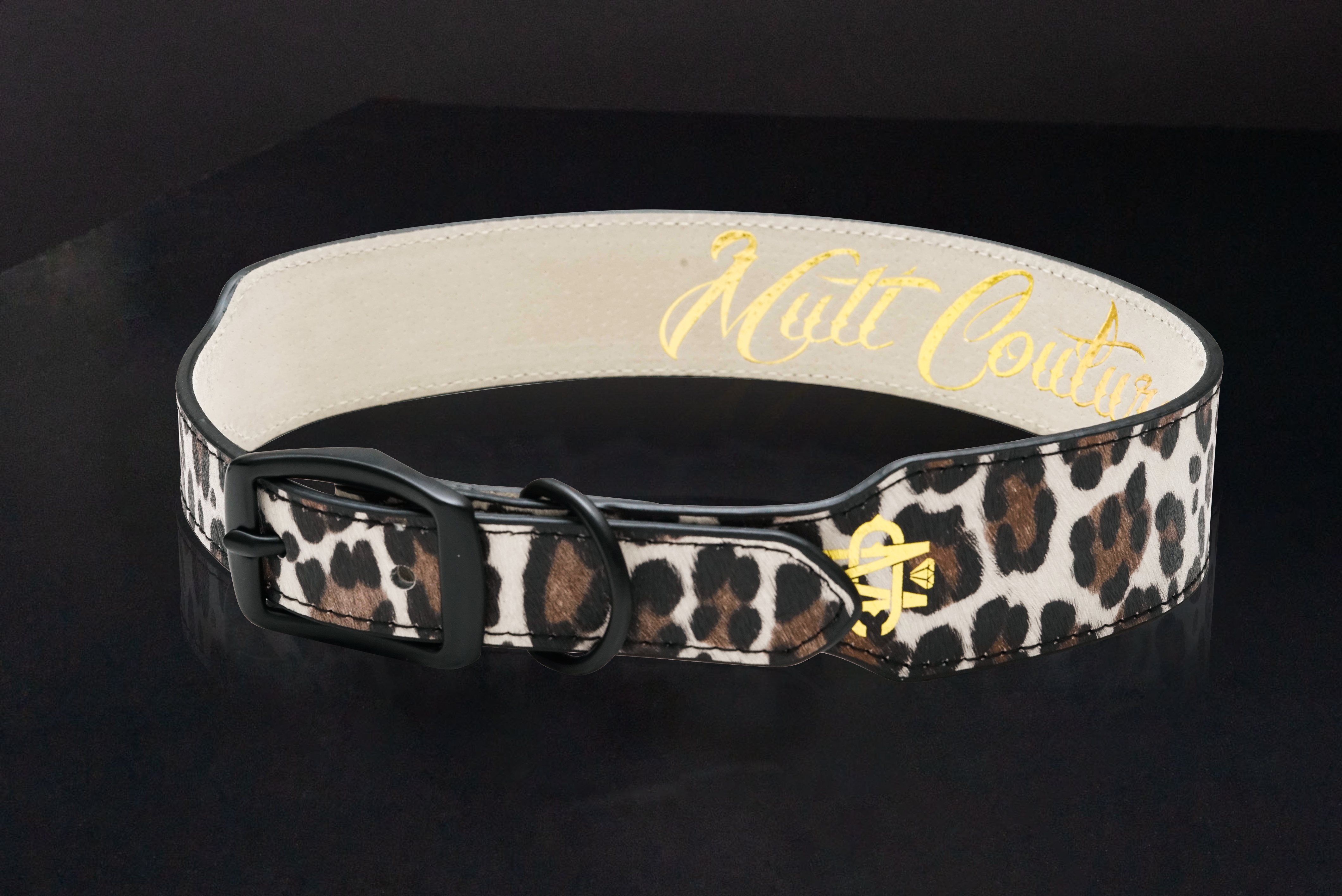 Leopard dog fashion collars and leashes